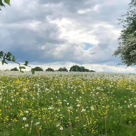 Family Escape With Pool Willa *