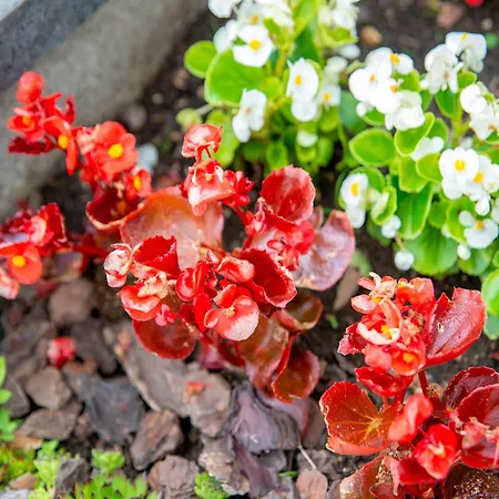 Family Escape With Pool Willa Filot