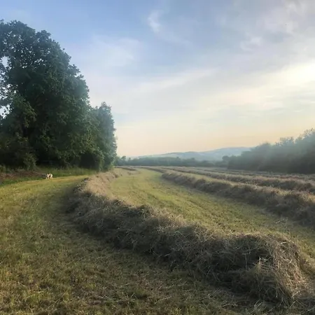 Family Escape With Pool *